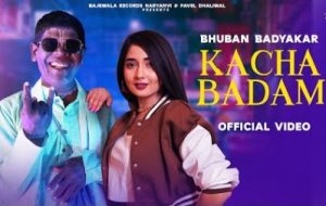Kacha Badam Lyrics sung By Bhuban Badyakar, Amit Dhull